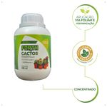 adubo-forth-cactos-500ml-7898268380421_2