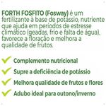 adubo-forth-fosfito-500ml-7898268385006_5