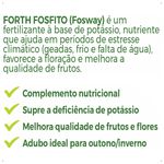 adubo-forth-fosfito-60ml-7898268385037_6