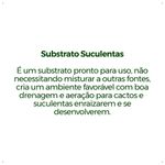 Substrato-Forth-Cactos-e-Suculentas---Saco---2Kg