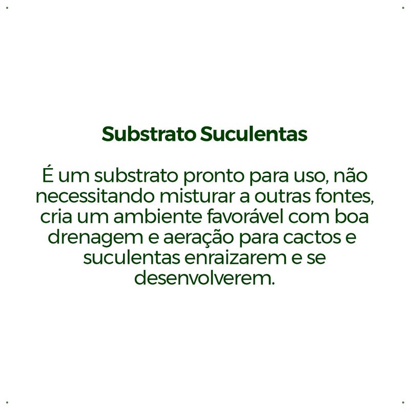 Substrato-Forth-Cactos-e-Suculentas---Saco---2Kg