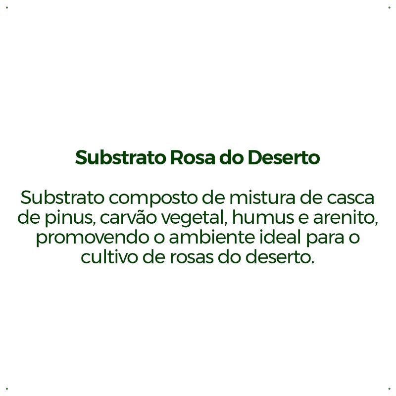 Substrato-Forth-Rosa-do-Deserto---Saco---2Kg