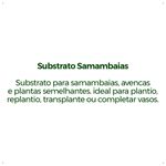 Substrato-Forth-Samambaias---Saco---2Kg