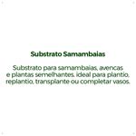 Substrato-Forth-Samambaias---Saco---2Kg