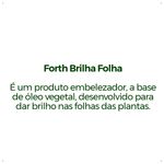Forth-Brilha-Folha-Pronto-Uso---Spray---500ml
