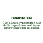 Forth-Brilha-Folha-Pronto-Uso---Spray---500ml