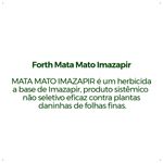 Forth-Mata-Mato-Imazapir---Liquido