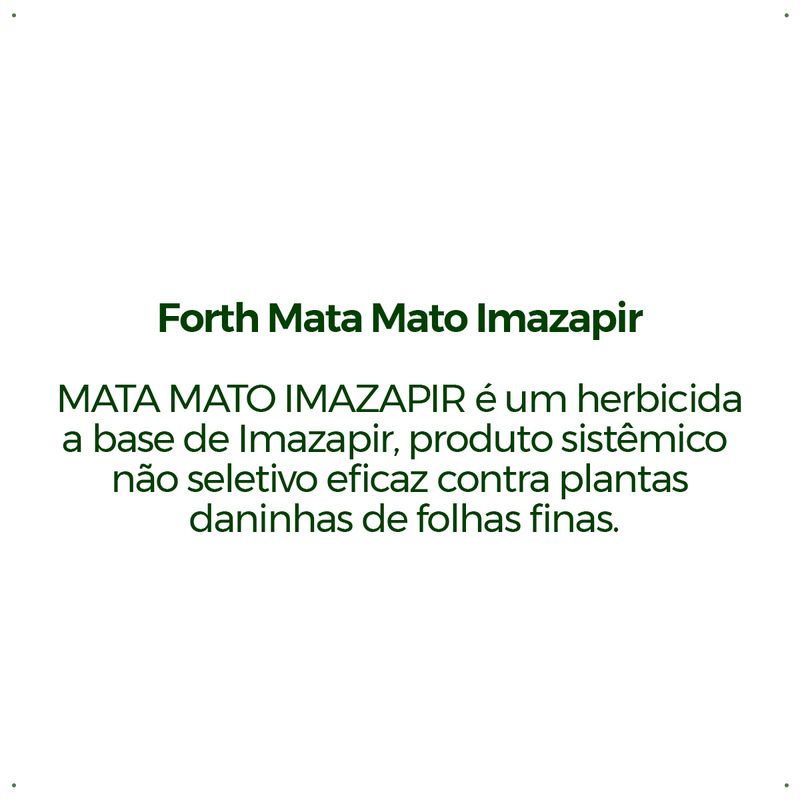 Forth-Mata-Mato-Imazapir---Liquido