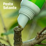 Forth-Pasta-Selante---Bisnaga